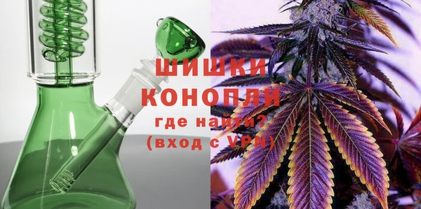 эйфоретик Арсеньев