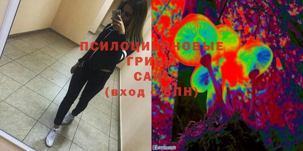 эйфоретик Арсеньев